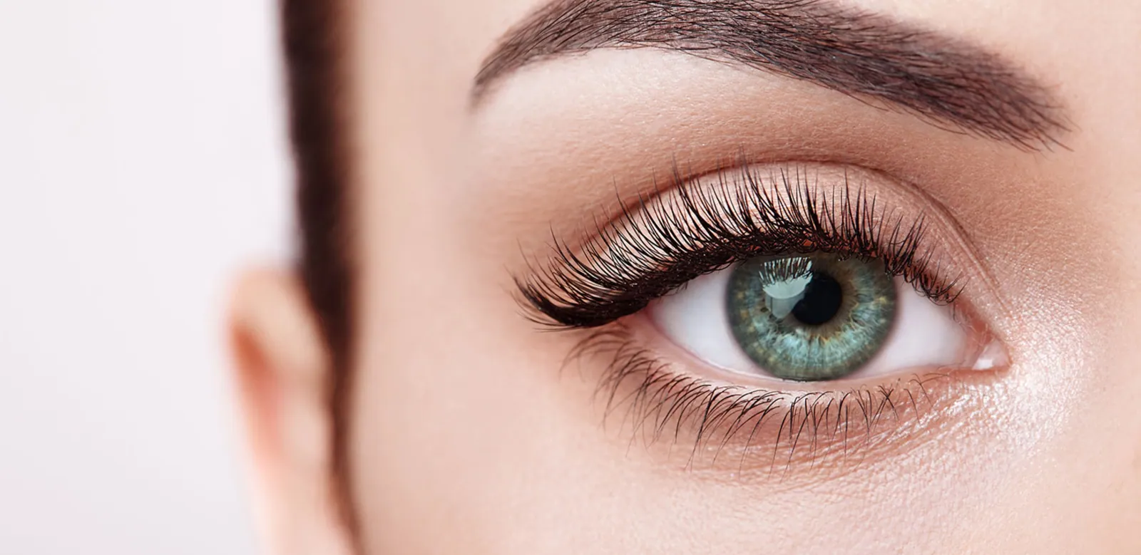 Wimpern, Brauen & Make-up